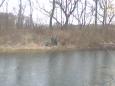 Image003[1]